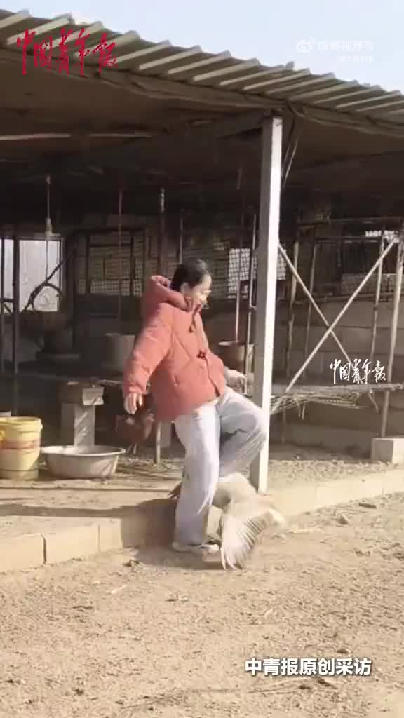 轻松一刻：理他们干什么，想停哪就停哪！