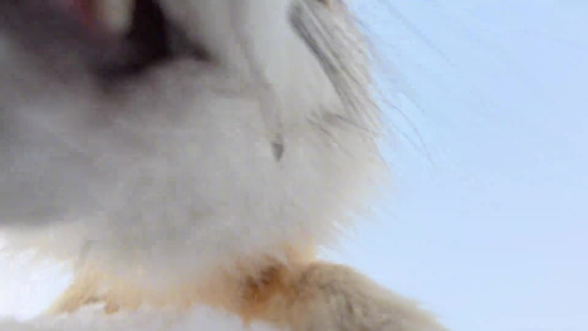 轻松一刻：有没有需要代照顾媳妇的？全国接单！