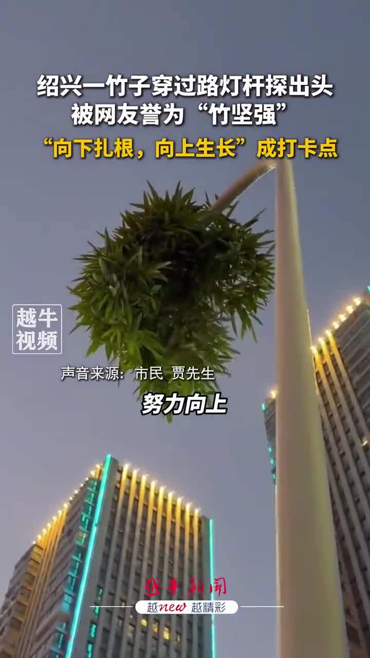 轻松一刻：一张图告诉你最近的天气有多冷