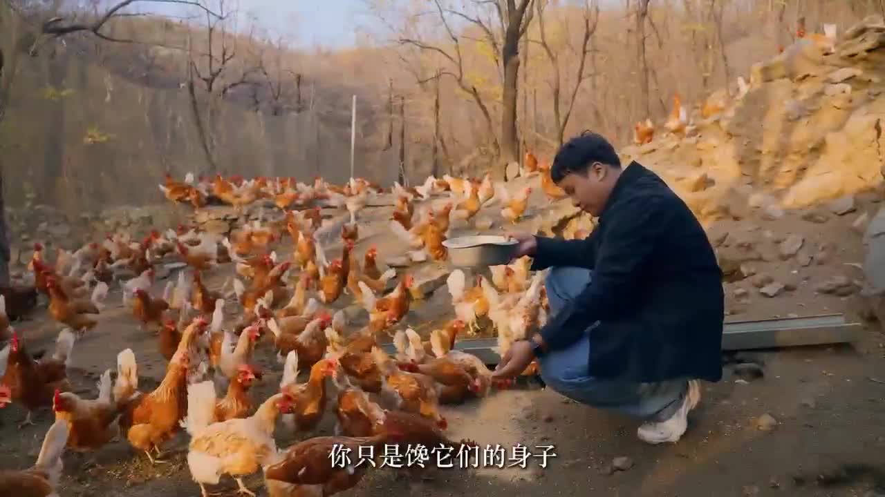 轻松一刻：一张图告诉你最近的天气有多冷