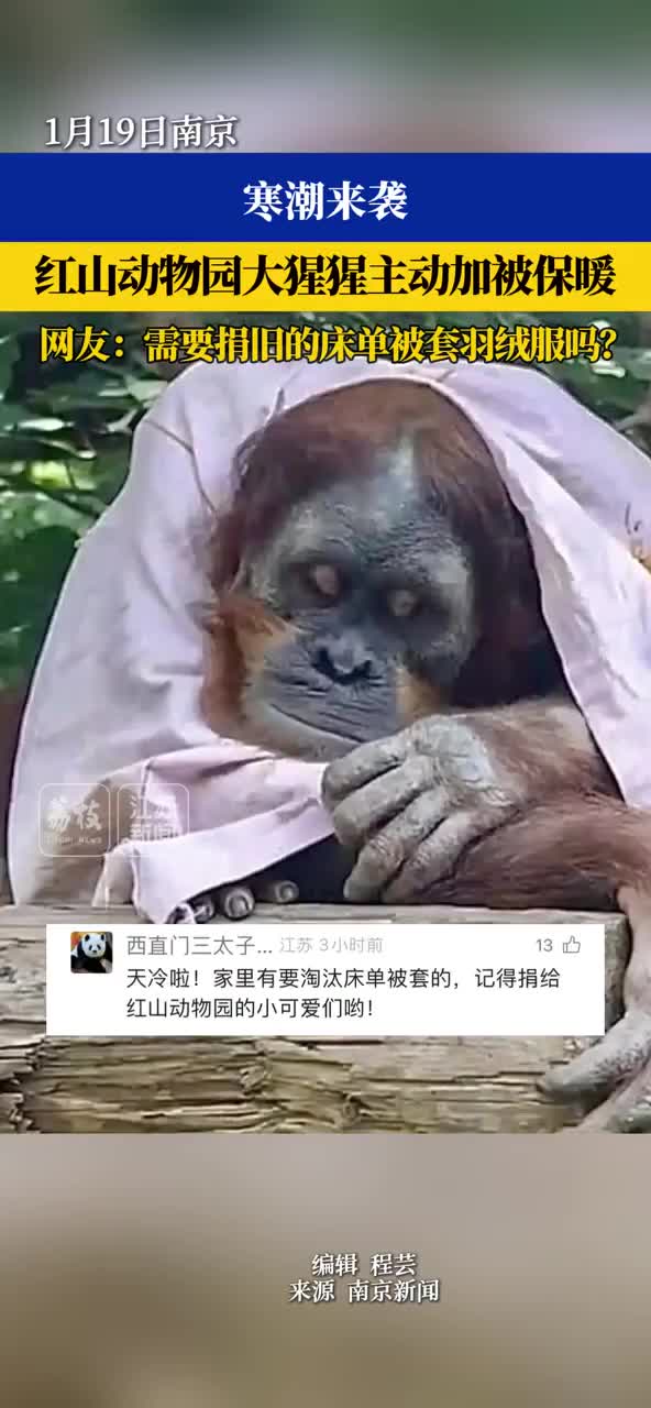 轻松一刻：一张图告诉你最近的天气有多冷