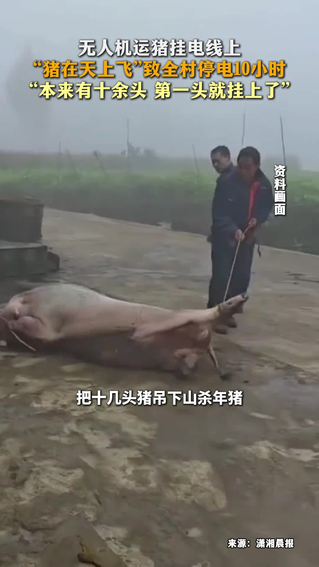 轻松一刻：周一，踏马来了！