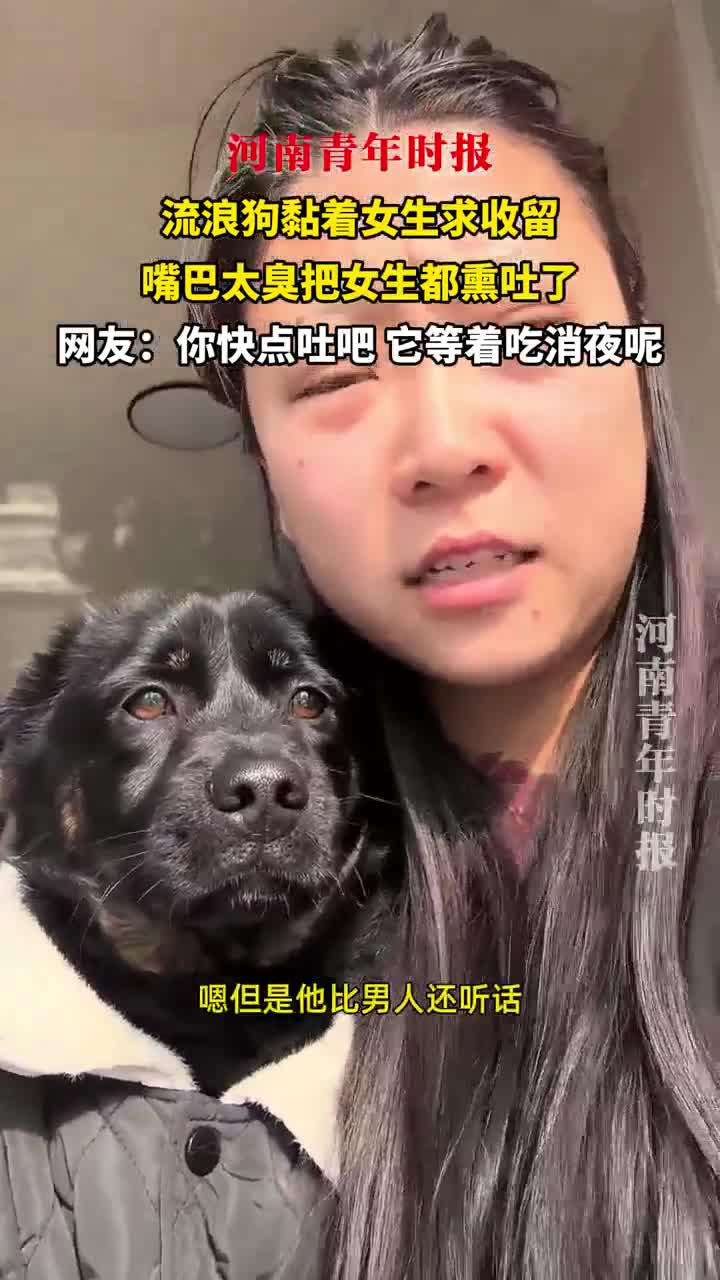 轻松一刻：周一，踏马来了！