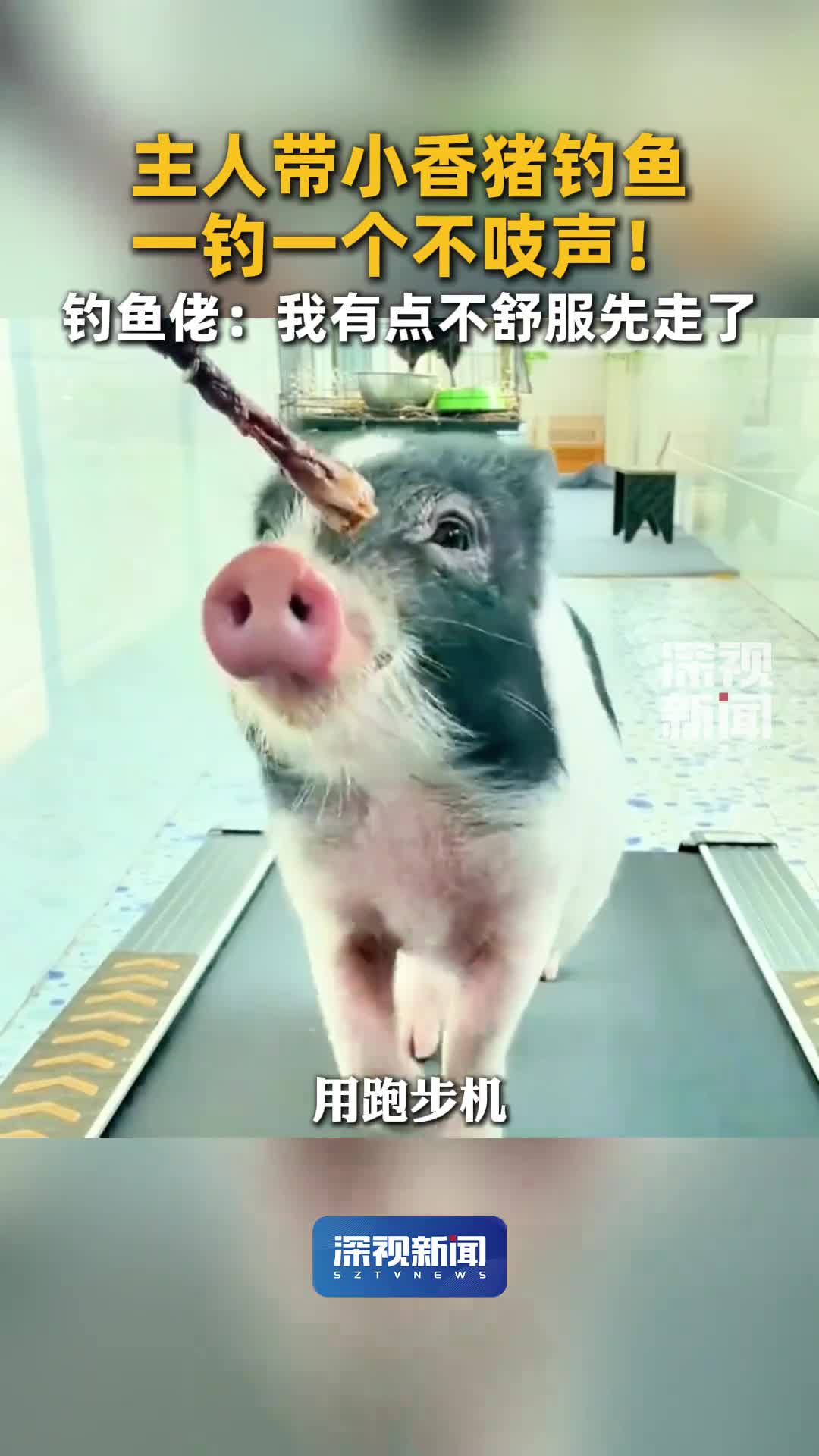 轻松一刻：这种奇特的驾驶技术，真是第一次见