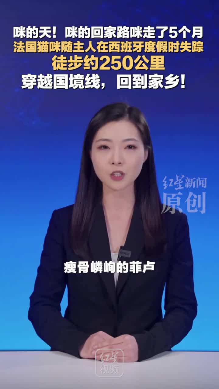 轻松一刻：这种奇特的驾驶技术，真是第一次见