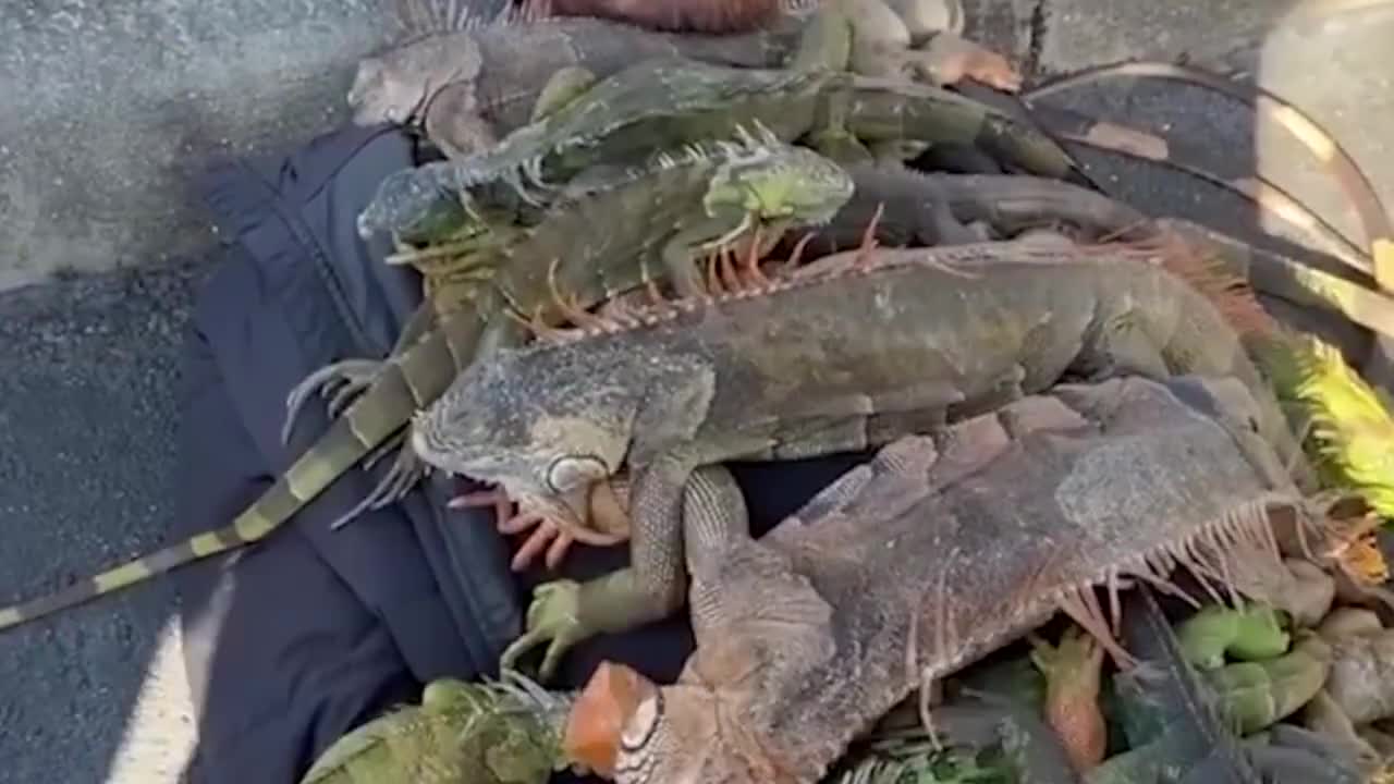 轻松一刻：这种奇特的驾驶技术，真是第一次见