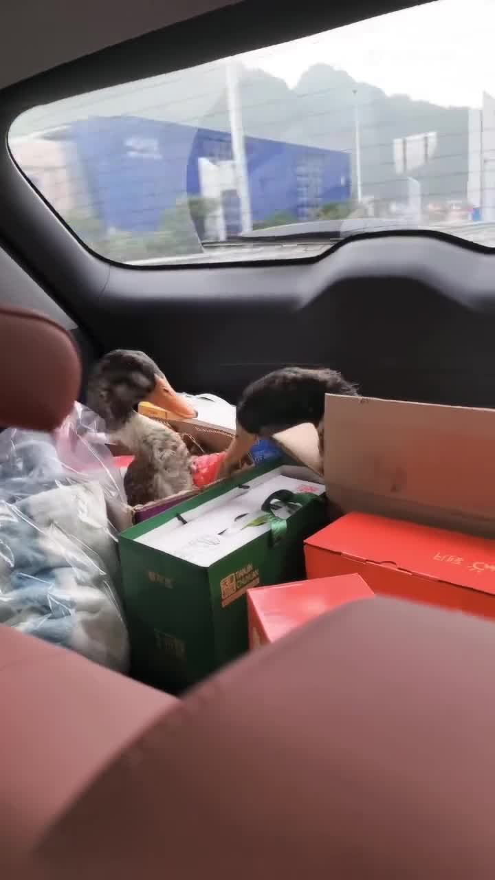 轻松一刻：听说还没放假的人，单位天花板长这样