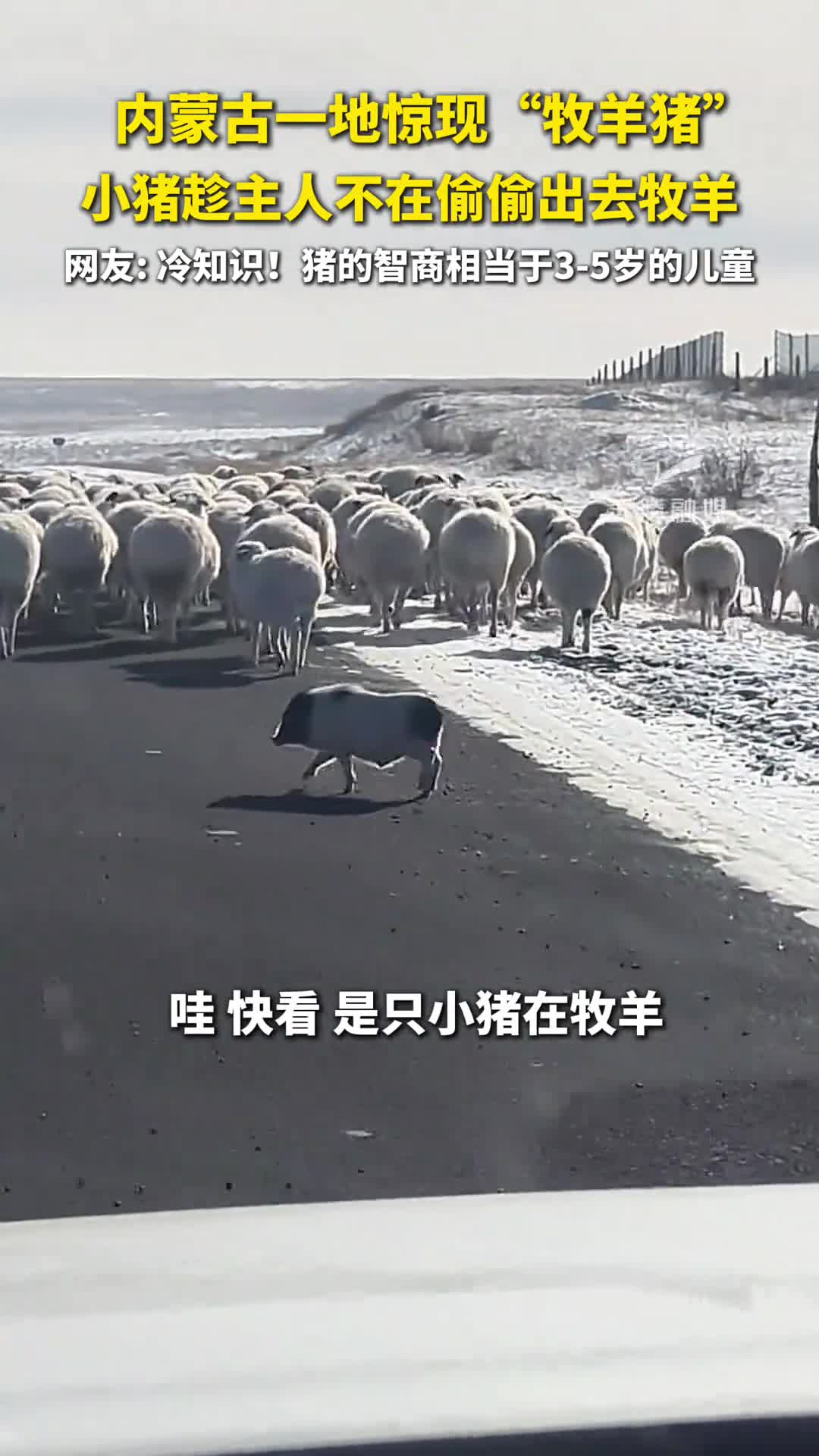 轻松一刻：过了小年就是年，祝大家小年快乐！