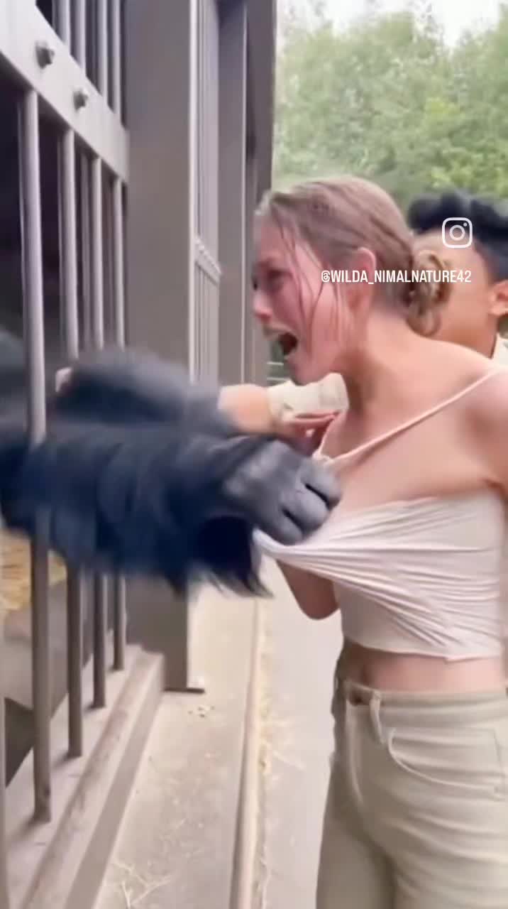 轻松一刻：雪这么大，应该不用上班了吧？