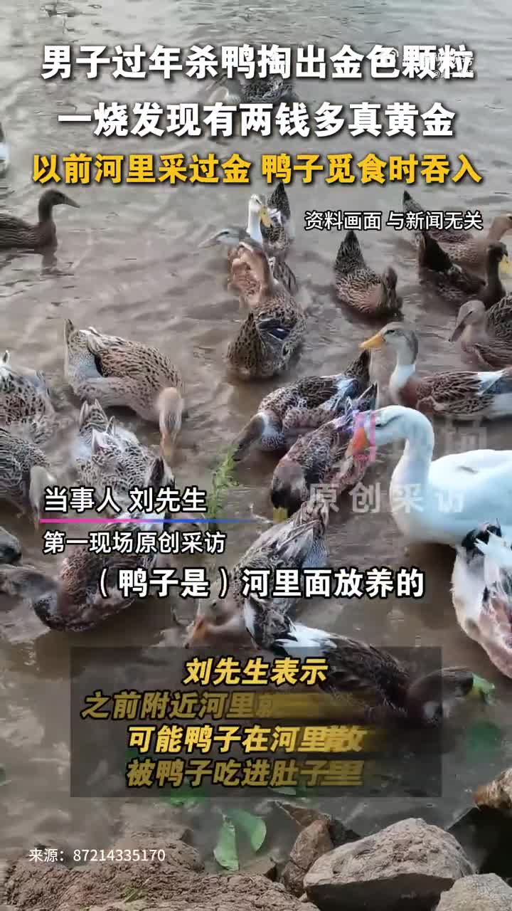 轻松一刻：女同事来做客，一直看电视怎么回事？