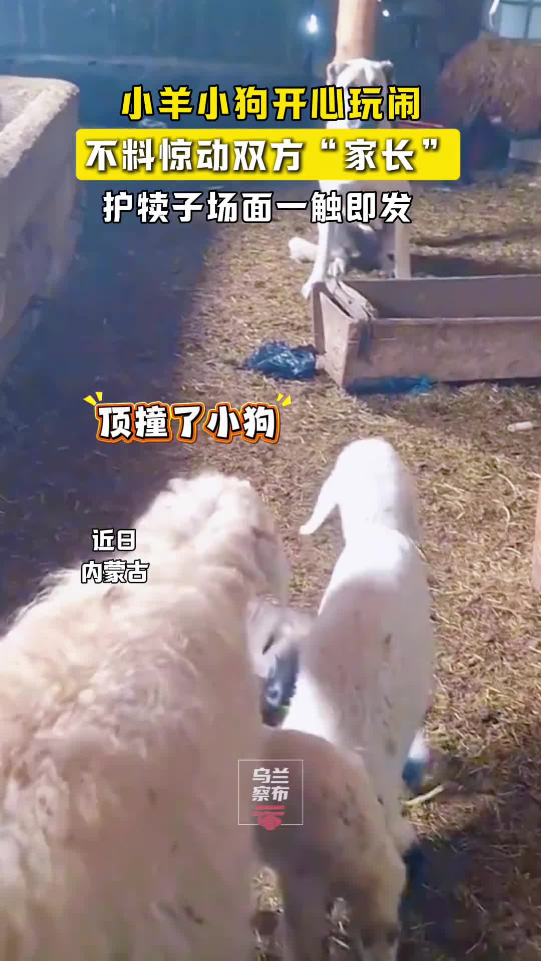 轻松一刻：这烟劲儿大，兄弟我给你点上！