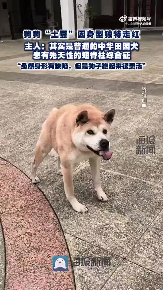 轻松一刻：朋友们，你们的工作有着落了