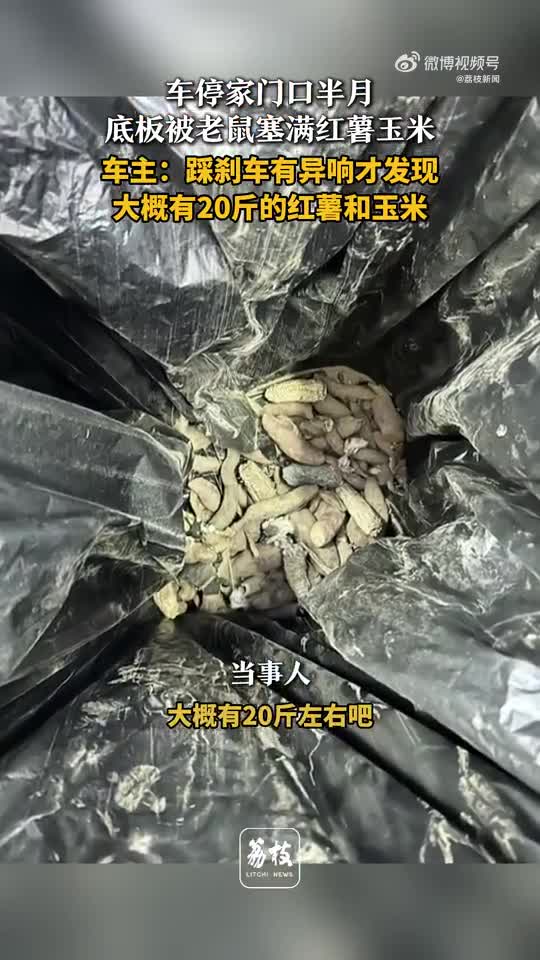 轻松一刻：朋友们，你们的工作有着落了