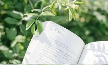 老公教我学车