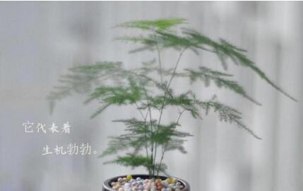 我媳妇在家你去玩吧