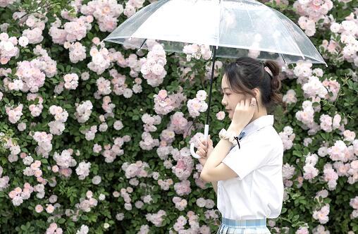 冷人的动物,乐得你合不上嘴