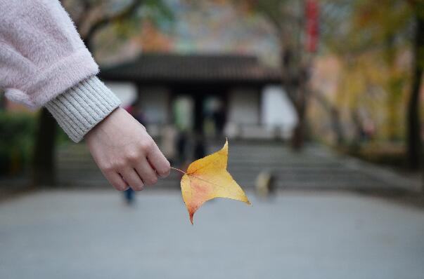 女网友总在朋友圈炫耀